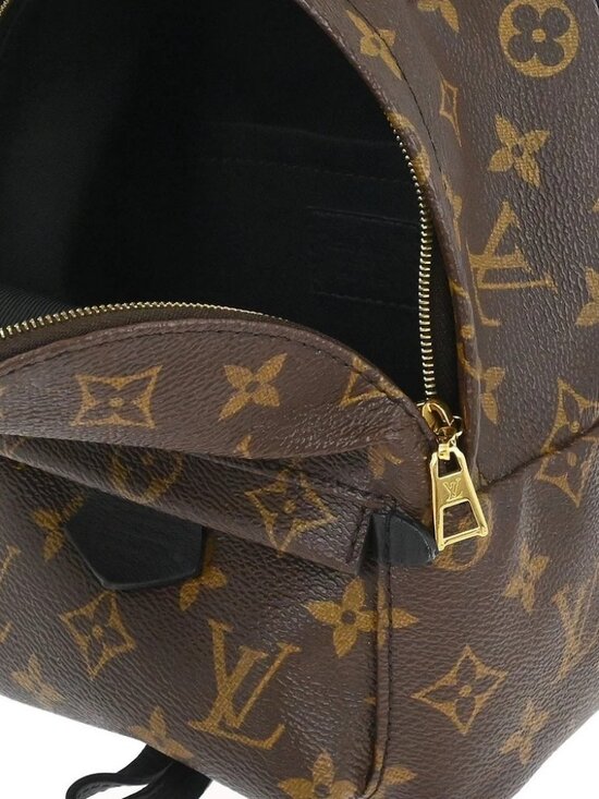 Louis Vuitton Palm Springs Mini Backpack M44873 CA2128 166938 main image 13